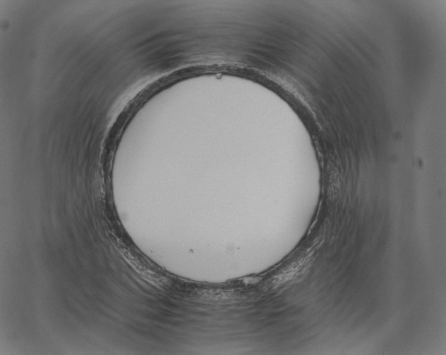 X0000062620927200601181651