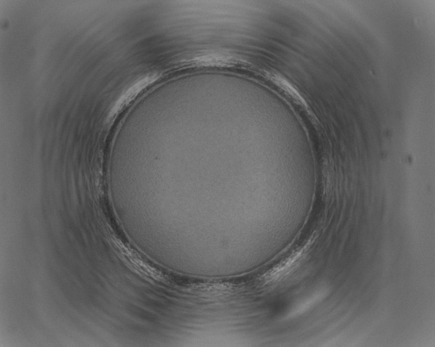 X0000062620930200601181651