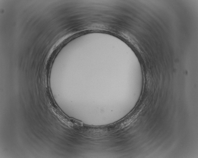 X0000062620931200601181651