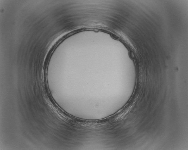 X0000062620932200601181651