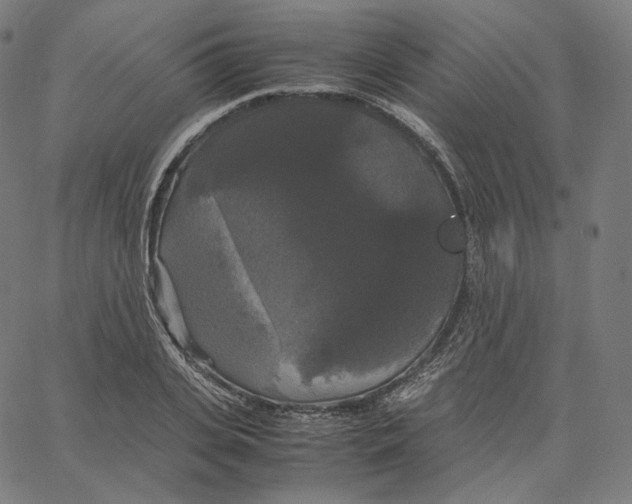 X0000062620935200601181651