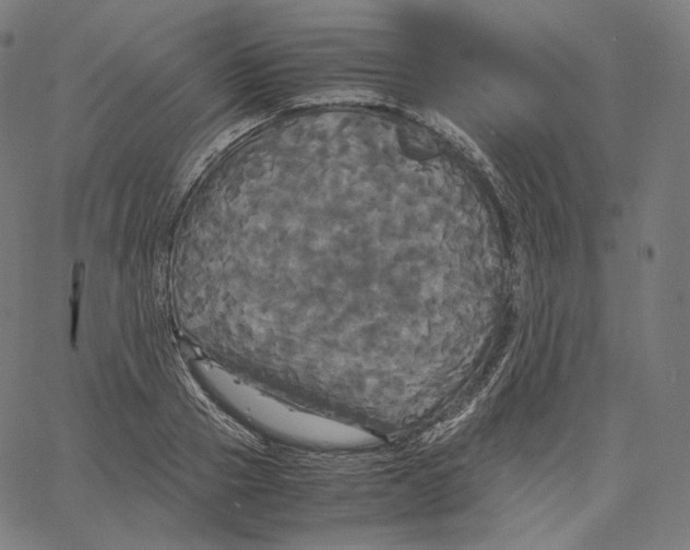 X0000062620937200601181651