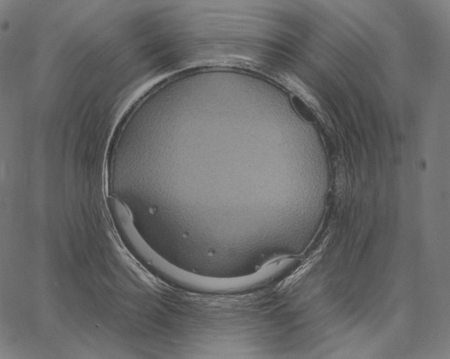 X0000062620940200601181651