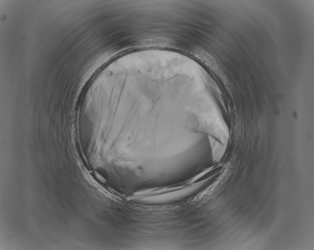 X0000062620941200601181651