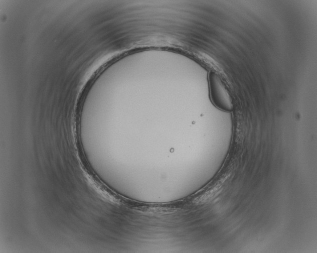 X0000062620942200601181651