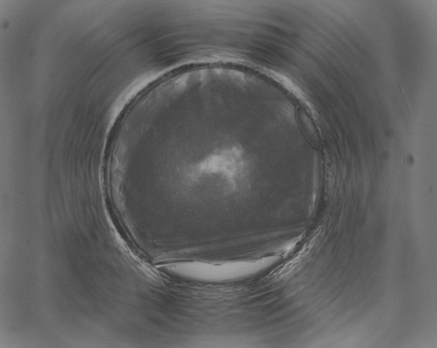 X0000062620943200601181651