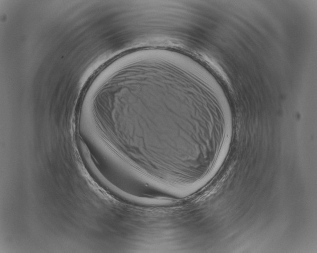 X0000062620944200601181651