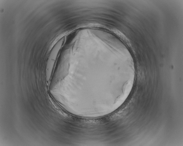 X0000062620945200601181651