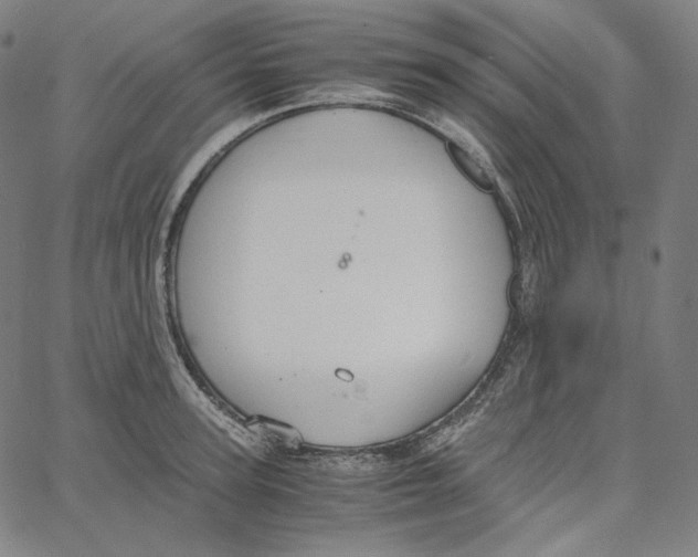 X0000062620947200601181651