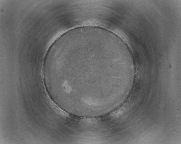 X0000062620950200601181651