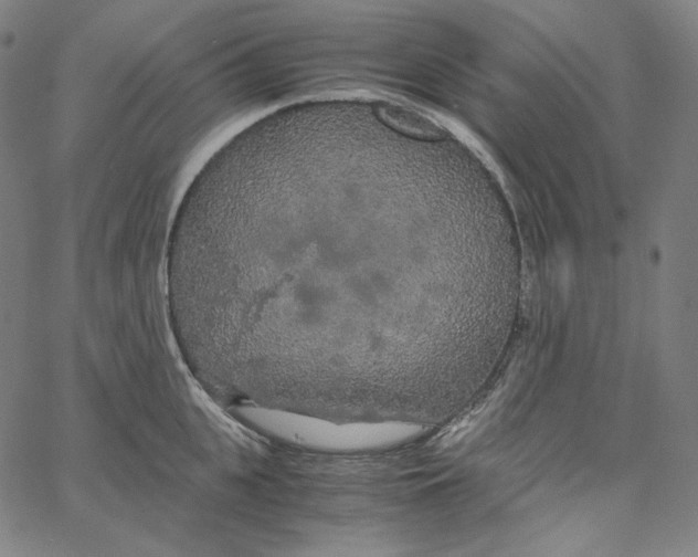 X0000062620951200601181651