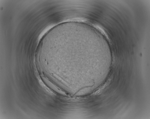 X0000062620952200601181651