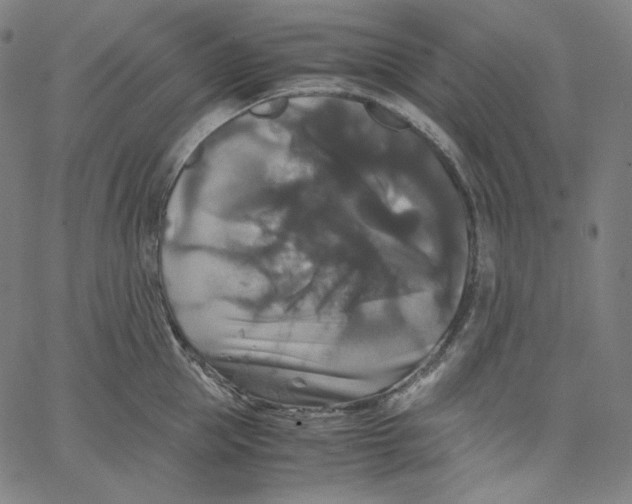 X0000062620953200601181651