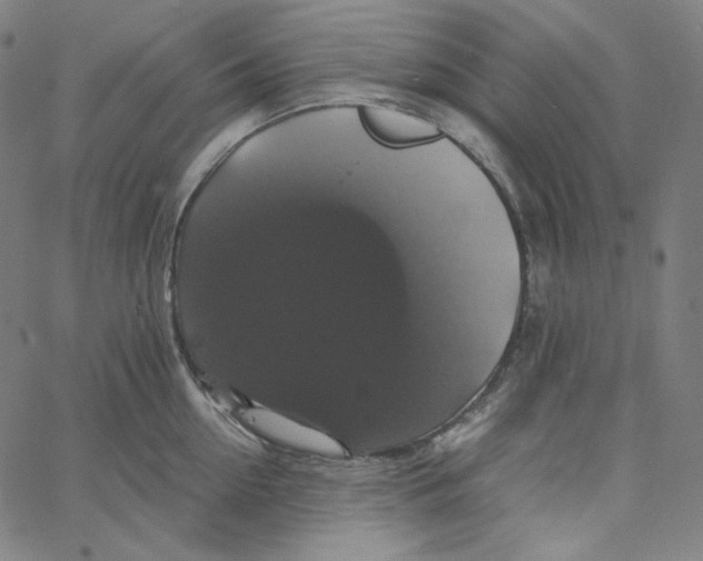 X0000062620954200601181651