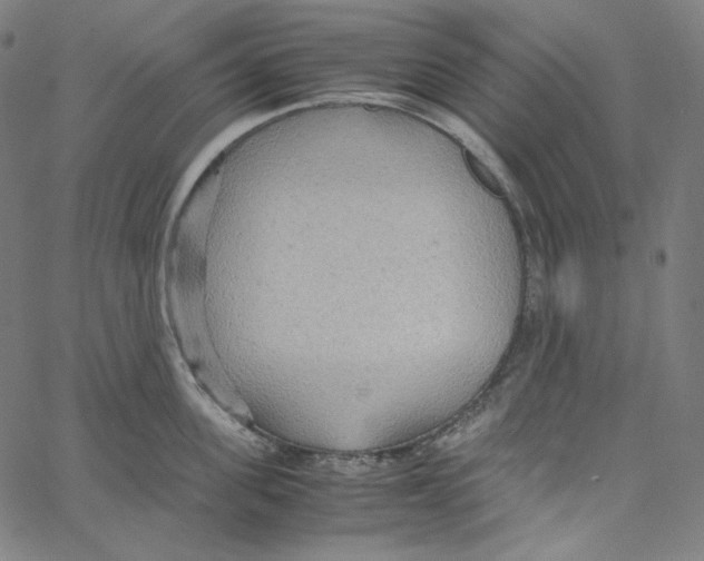 X0000062620955200601181651