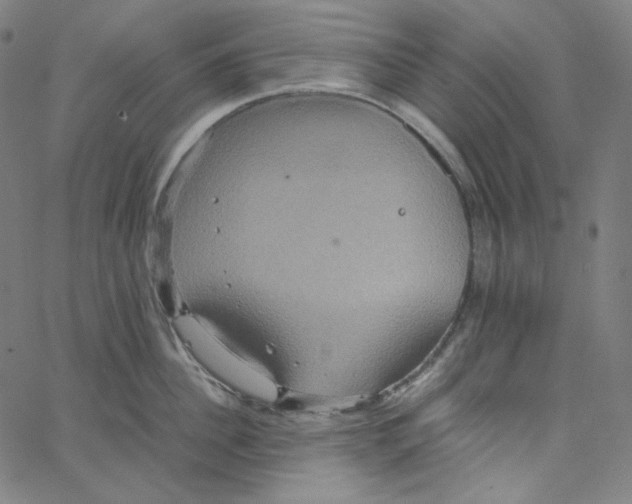 X0000062620956200601181651