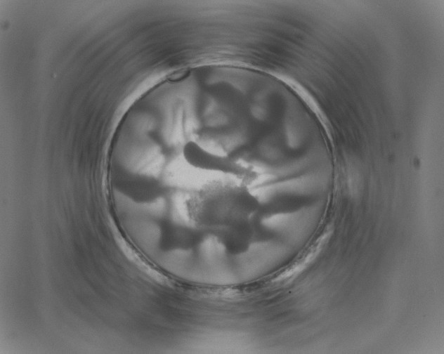 X0000062620957200601181651