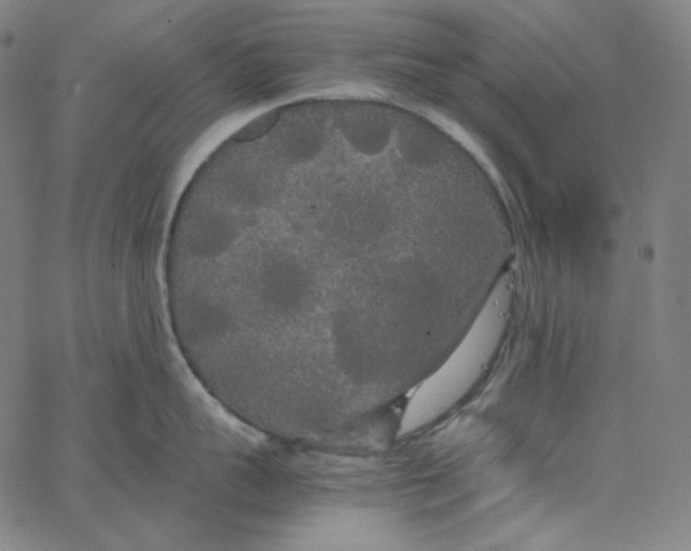 X0000062620959200601181651