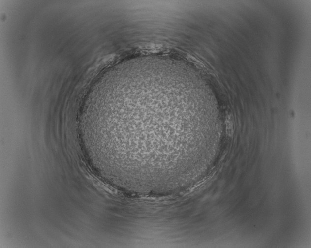 X0000062620961200601181650