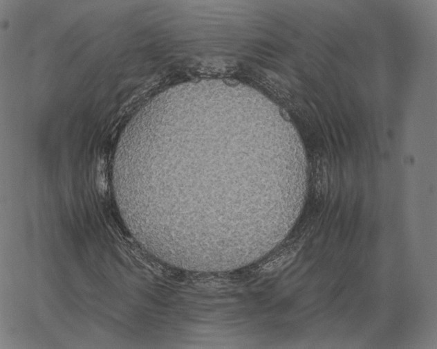 X0000062620962200601181650