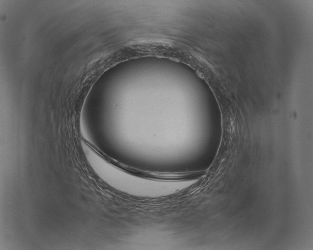 X0000062620965200601181650