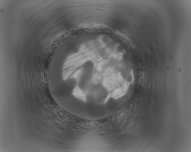 X0000062620966200601181650