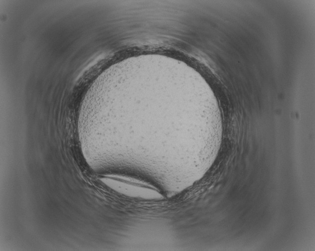 X0000062620967200601181650