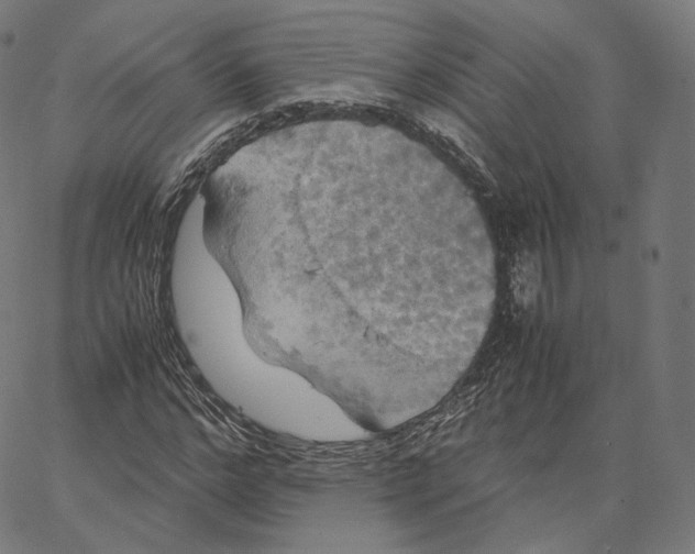 X0000062620968200601181650