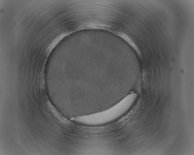 X0000062620972200601181650