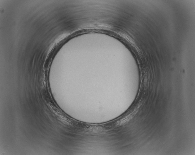 X0000062620974200601181650