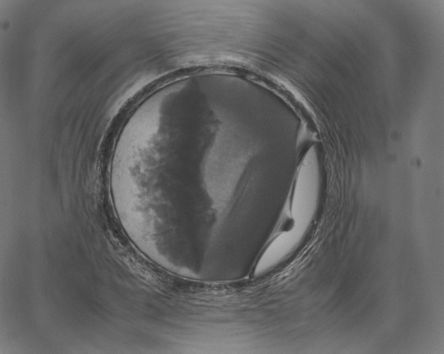 X0000062620975200601181650