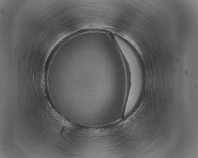 X0000062620976200601181650