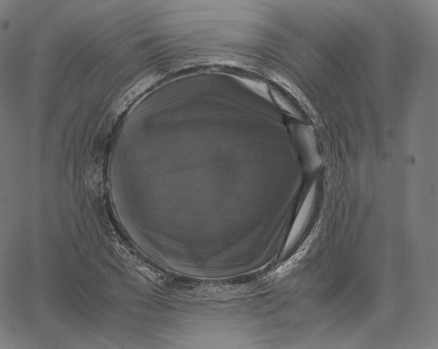 X0000062620977200601181650