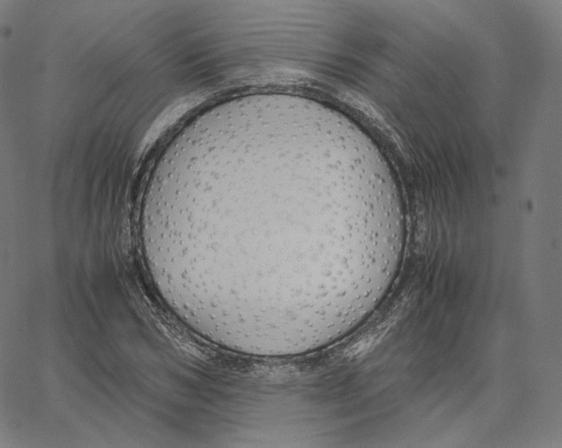 X0000062620978200601181650