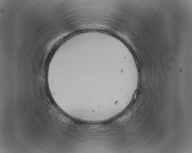 X0000062620979200601181650