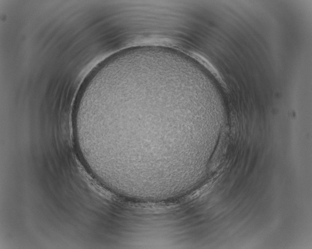 X0000062620980200601181650