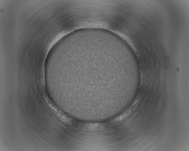 X0000062620982200601181650