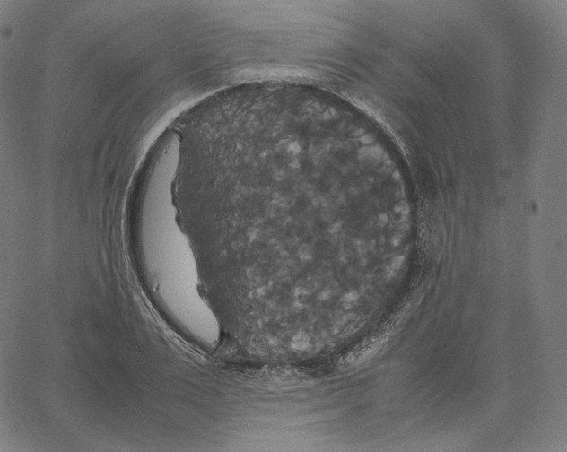 X0000062620983200601181650