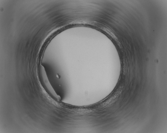 X0000062620984200601181650