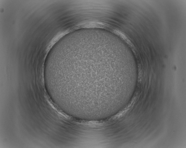 X0000062620986200601181650