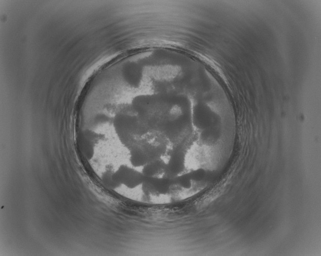 X0000062620987200601181650