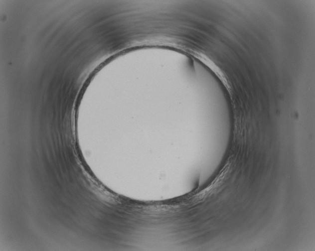 X0000062620988200601181650