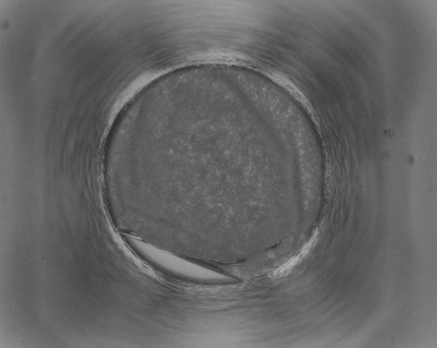 X0000062620989200601181650