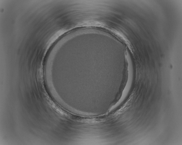 X0000062620990200601181650