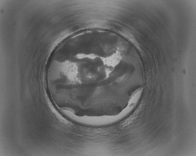 X0000062620991200601181650