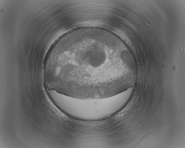 X0000062620992200601181650