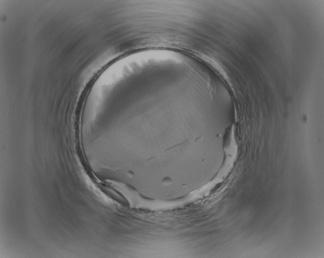 X0000062620995200601181650