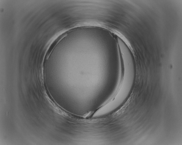 X0000062620996200601181650