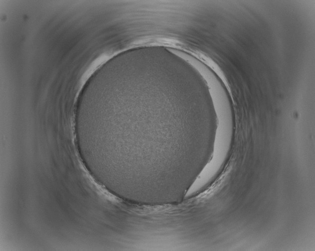 X0000062620997200601181650