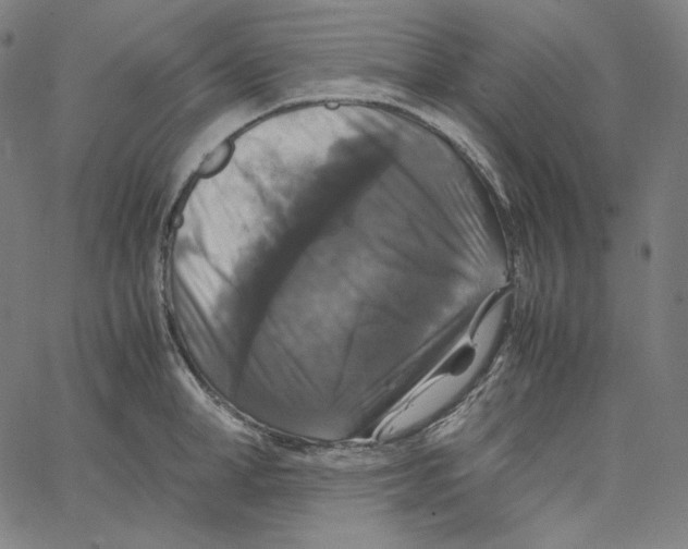 X0000062620998200601181650